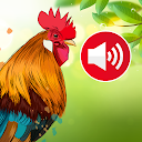 Animal Ringtones: Bird Sounds