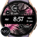 NXV91 Elegant Watch Face