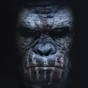 Planet of the Apes Wallpapers