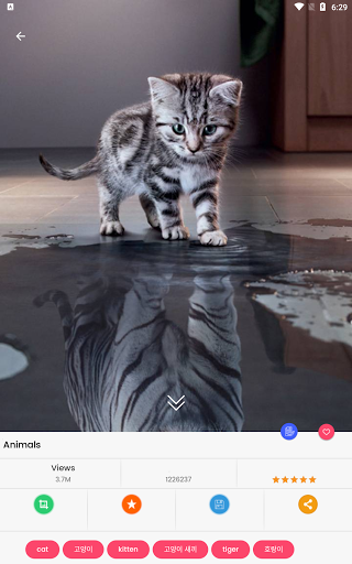 screenshots_12