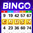 Bingo Crush: Happy Bingo Games