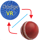 Combo:dodge & cricket ball