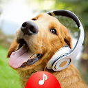 Animal Sounds Ringtones