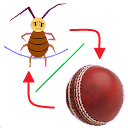 Combo:jump rope & cricket ball