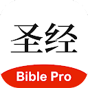 BiblePro 主內聖經