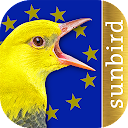 Vogelstimmen Europas, Nordafri