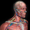 Introdução à Anatomia Humana