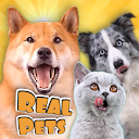 Fruwee: Real Pet Dog Simulator