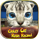 Crazy Cat Rush Racing Run Kitt