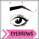 Perfect eyebrows woman